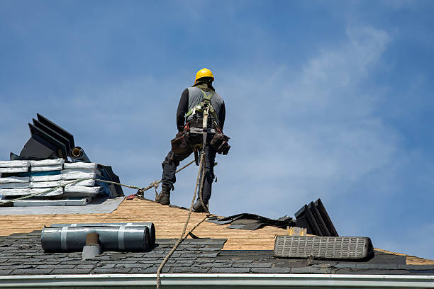Professional Storm Damage Roof Repair technician working in Hazel Park, MI